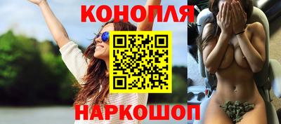 амф Кингисепп