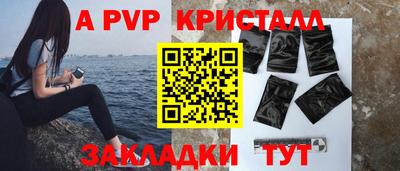 амф Кингисепп