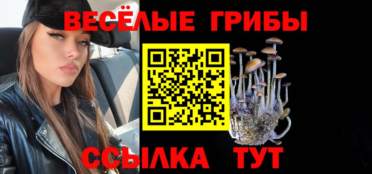 Галлюциногенные грибы MAGIC MUSHROOMS  Вход с VPN  Сорочинск 